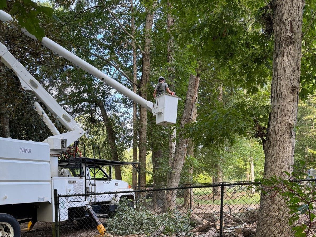 El Costeño Tree Service LLC